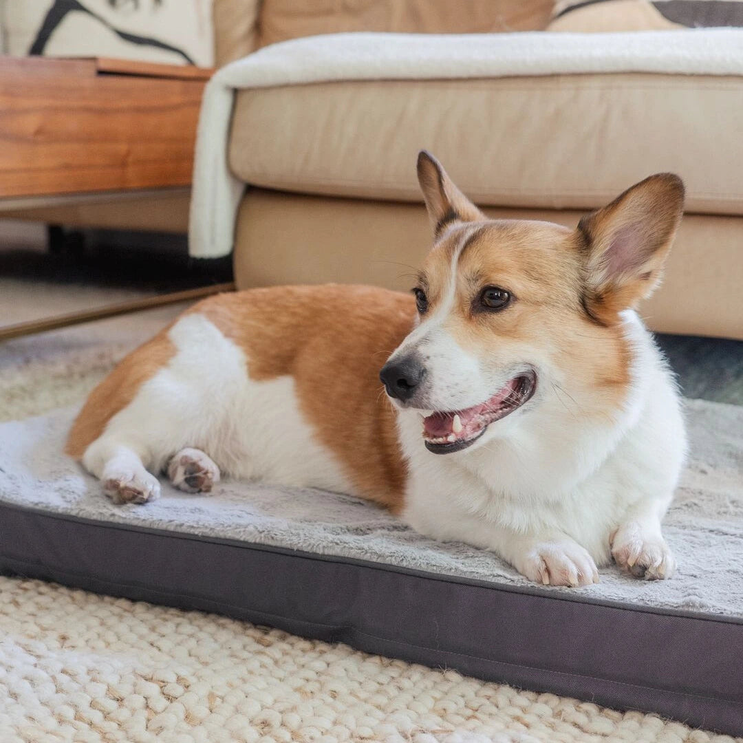 Can foam dog beds be washed in the washing machine?